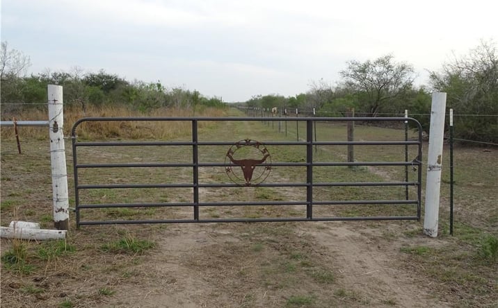 Pictures of Land property located at 0 CR 309 Road, Encino, TX 78353 for sales - image #1