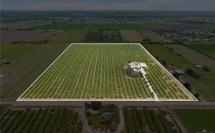 Pictures of Land property located at 492 W Trenton Road, Donna, TX 78537 for sales - image #1