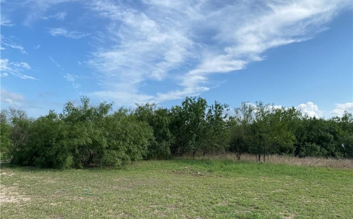 Pictures of Land property located at 0 Expressway 83 Highway, Harlingen, TX 78586 for sales - image #1