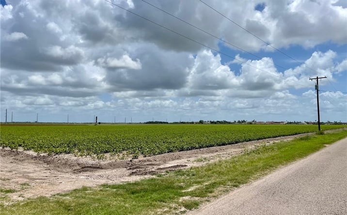 Pictures of Land property located at TBD W Baker Drive, Progreso, TX 78579 for sales - image #1