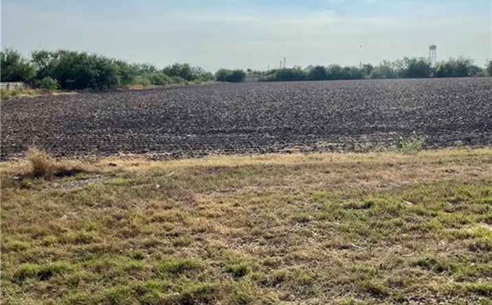 Pictures of Land, Multifamily property located at 0 S Lion Lake Drive, Progreso, TX 78596 for sales - image #1