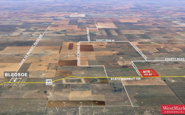 Pictures of Land property located at 131 Acres Cochran Co., Morton, TX 79346 for sales - image #1
