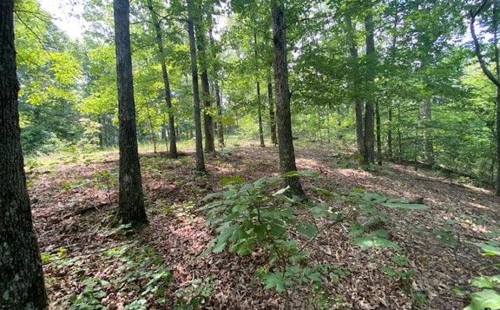 Pictures of Land property located at 0 Eagle Nest Ln, Big Sandy, TN 38221 for sales - image #1