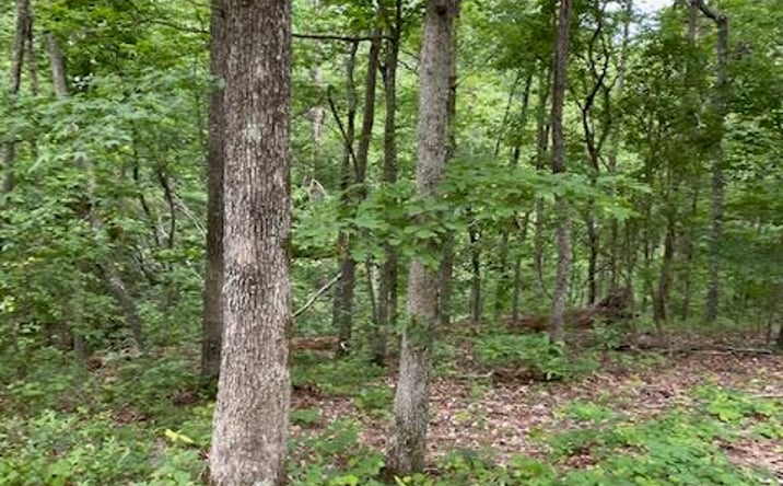 Pictures of Land property located at 00 Eagle Nest Ln, Big Sandy, TN 38221 for sales - image #1