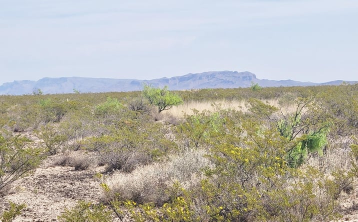 Pictures of Land property located at 265 Champagne Hills Rd, ELEPHANT BTTE, NM 87935 for sales - image #1