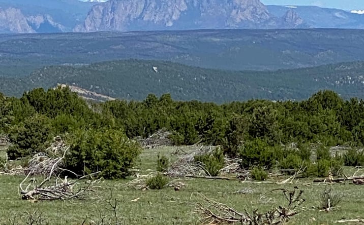 Pictures of Land property located at 540 C 24, Las Vegas, NM 87701 for sales - image #1