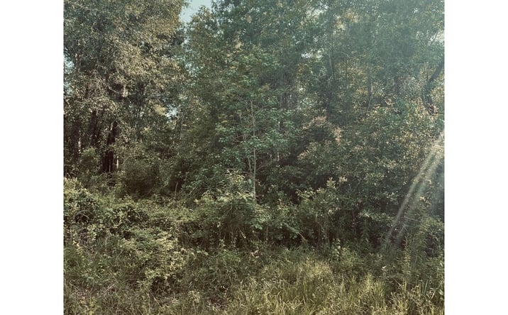 Pictures of Land property located at E Adams St Lots 19&20, Bay St. Louis, MS 39520 for sales - image #1