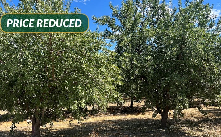 Pictures of Land property located at Avenue 23 1/2 N. of Hwy 152, Chowchilla, CA 93610 for sales - image #1