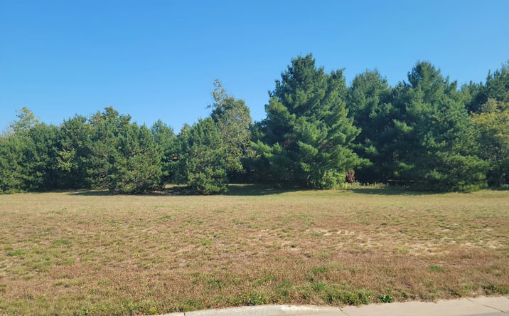 Pictures of Land property located at Lot 4 Charlotte Street/Range Road, Boyceville, WI 54725 for sales - image #1