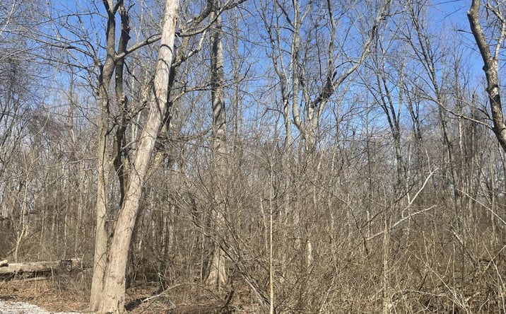 Pictures of Land property located at 0 Dahlia Drive, Thornville, OH 43076 for sales - image #1