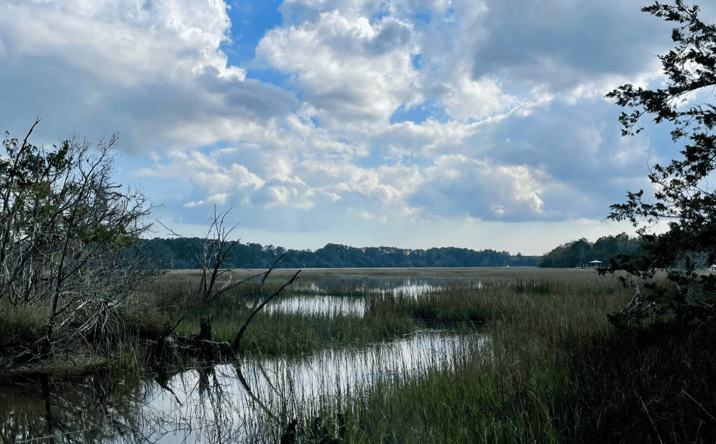 Pictures of Land property located at Lot D-2 at 7743 Toogoodoo Road, Meggett, SC 29449 for sales - image #1