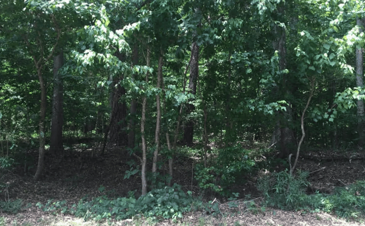 Pictures of Land property located at Boulder Park Dr, Atlanta, GA 30331 for sales - image #1