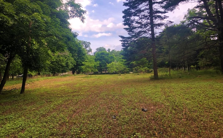Pictures of Land, Office, Retail property located at 1695-1697 Route 25, Ridge, NY 11961 for sales - image #1