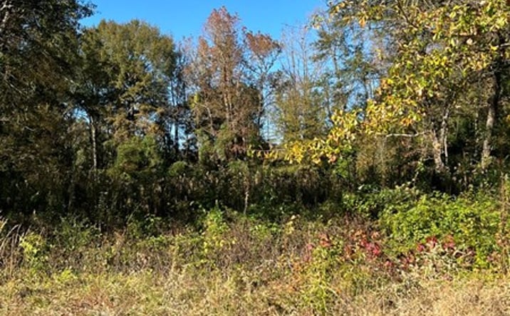 Pictures of Land property located at 301 Baker St, Atlanta, TX 75551 for sales - image #1