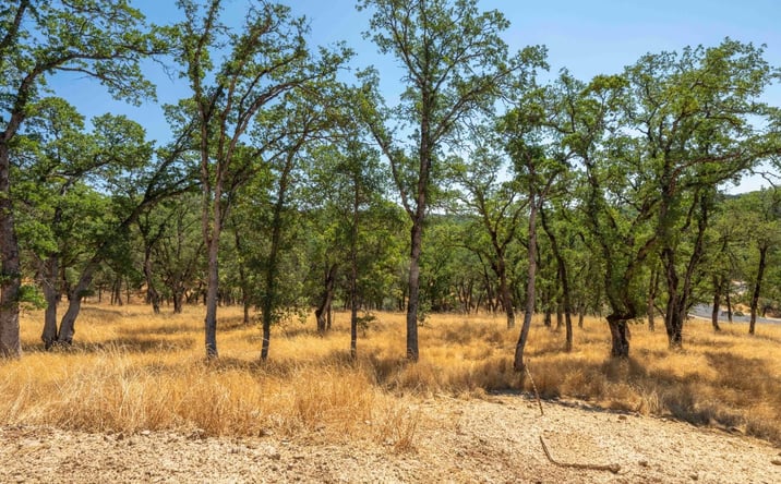 Pictures of Land property located at 711 Peabody Court, El Dorado Hills, CA 95762 for sales - image #1