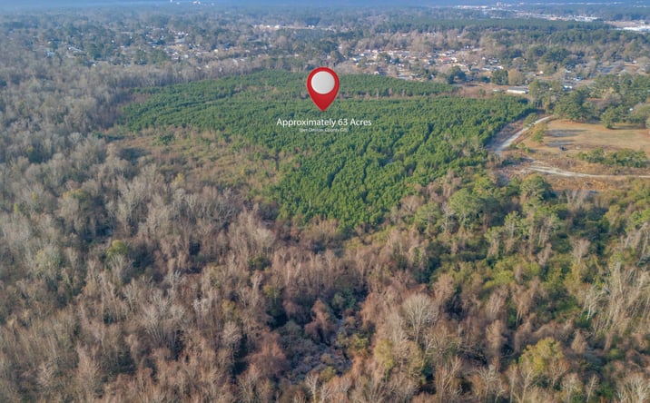 Pictures of Land property located at Thomas Humphrey Rd, Jacksonville, NC 28546 for sales - image #1