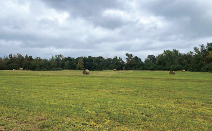 Pictures of Land property located at Lithium Play 15, Stamps, AR 71860 for sales - image #1