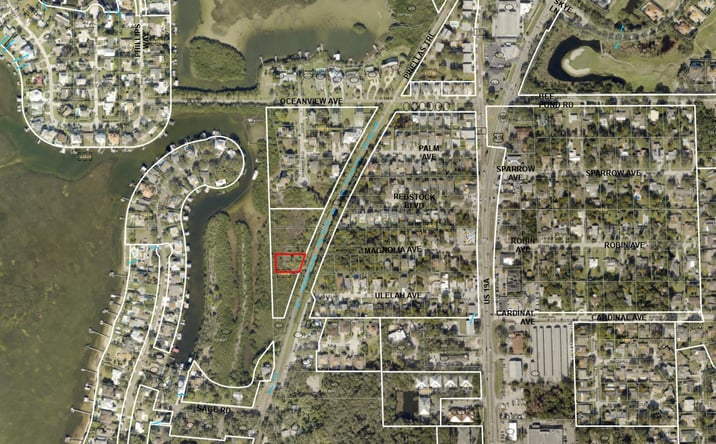 Pictures of Land property located at Magnolia Ave & Ulelah Ave, Palm Harbor, FL 34681 for sales - image #1