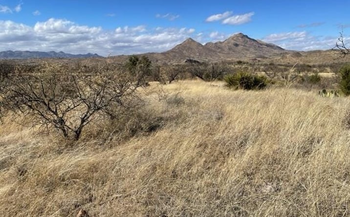 Pictures of Land property located at 1121 Hebilla Ct, Rio Rico, AZ 85648 for sales - image #1