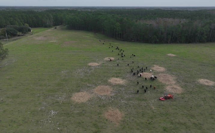 Pictures of Land property located at Berry Groves Rd, Clermont, FL 34705 for sales - image #1