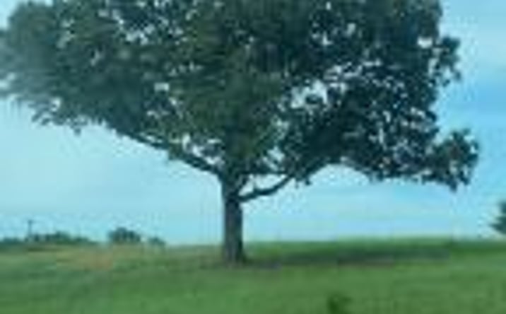 Pictures of Land property located at 22.43acres Reeves Street, Aiken, SC 29805 for sales - image #1
