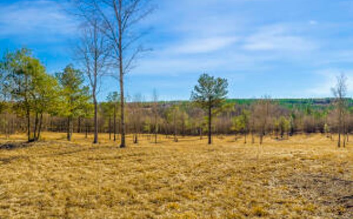 Pictures of Land property located at 13.06acres Reeves Street, Aiken, SC 29805 for sales - image #1
