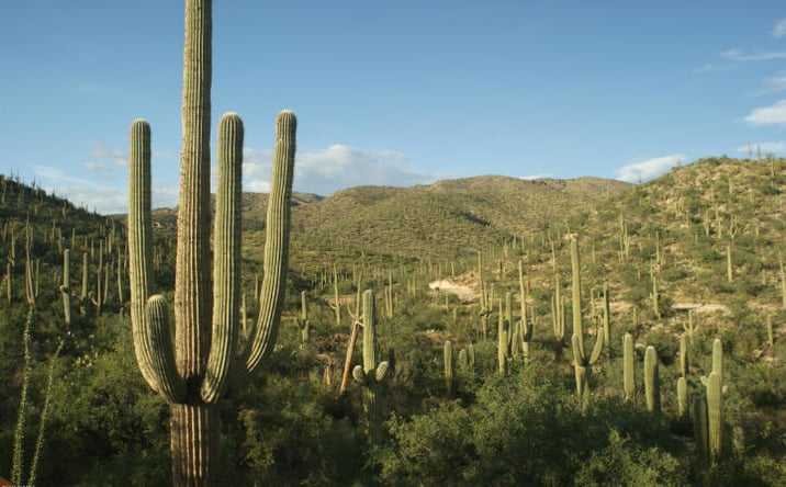 Pictures of Land property located at 13665 Placita Del Inca, Tucson, AZ 85749 for sales - image #1