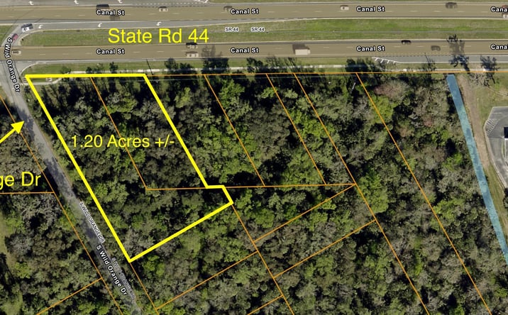 Pictures of Land property located at State Rd 44 New Smyrna Beach FL 32168, New Smyrna Beach, FL 32168 for sales - image #1