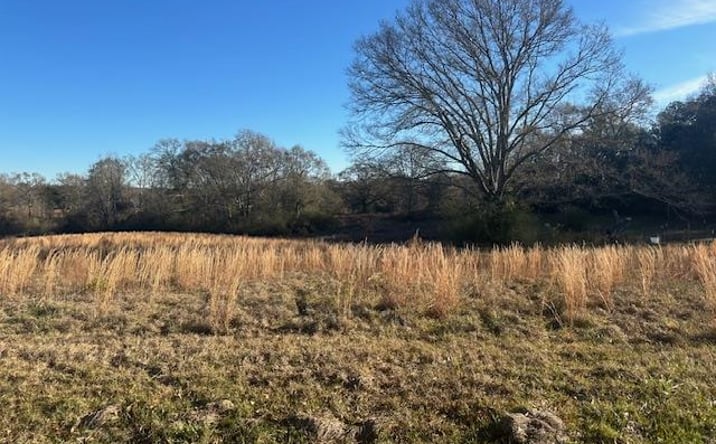 Pictures of Land property located at NHN Twin Oaks Lane, Carriere, MS 39426 for sales - image #1