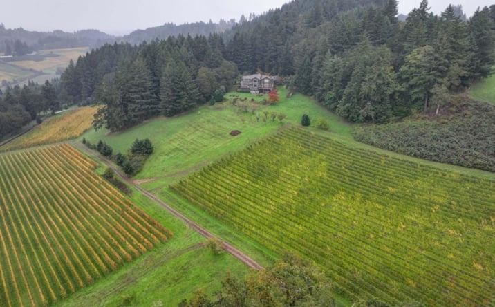 Pictures of Land property located at 7808 SE Amity Rd, Amity, OR 97101 for sales - image #1