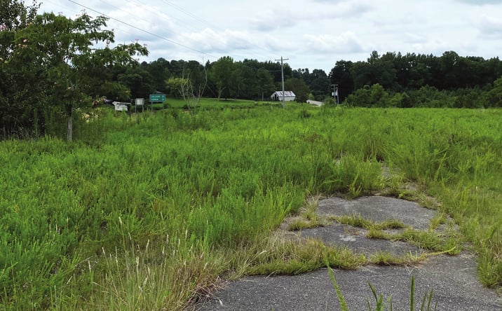 Pictures of Land property located at 122 & Highway 19, Hamilton, AL 35968 for sales - image #1