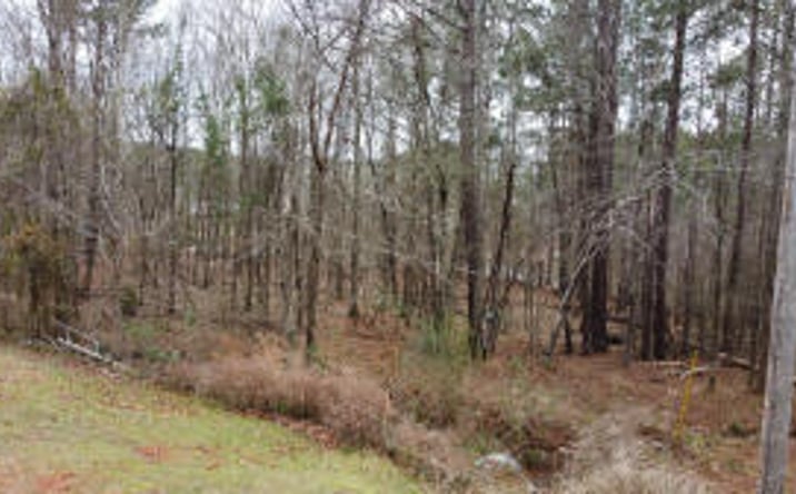 Pictures of Land property located at 34 Rolling Hills, Edgefield, SC 29824 for sales - image #1