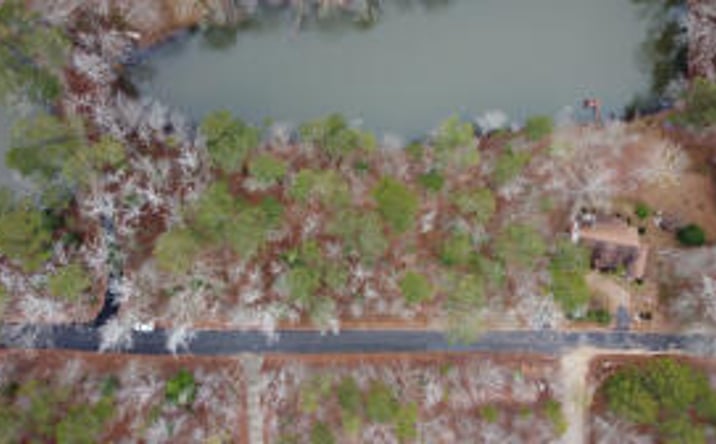 Pictures of Land property located at 0 Land-O-Lakes-02d, Trenton, SC 29847 for sales - image #1