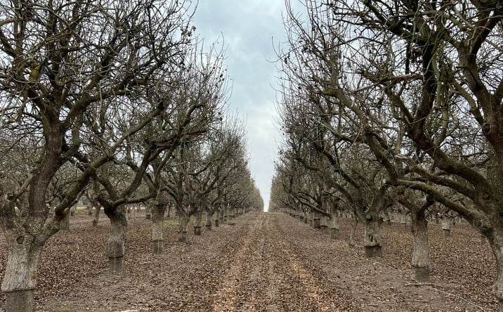 Pictures of Land property located at 11060 Rd 38, Madera, CA 93636 for sales - image #1