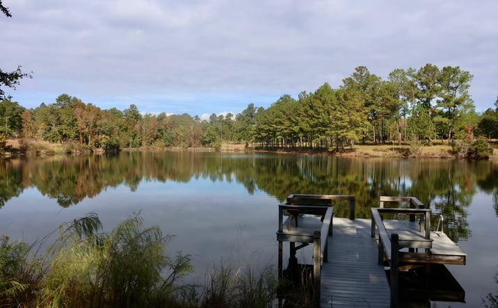 Pictures of Land property located at Cane Creek Rd, Quincy, FL 32351 for sales - image #1