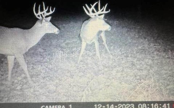 Pictures of Land, Special Purpose property located at 1999 Native Road, Fort Scott, KS 66701 for sales - image #1
