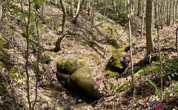 Pictures of Land property located at Golf Course Rd, Elberton, GA 30635 for sales - image #1