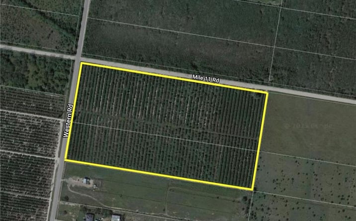 Pictures of Land property located at 0 Western Road, Mission, TX 78574 for sales - image #1