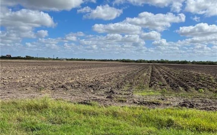 Pictures of Land property located at --- Business 83 Highway, Mercedes, TX 78570 for sales - image #1