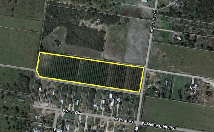 Pictures of Land property located at 0 La Homa Road, Mission, TX 78572 for sales - image #1
