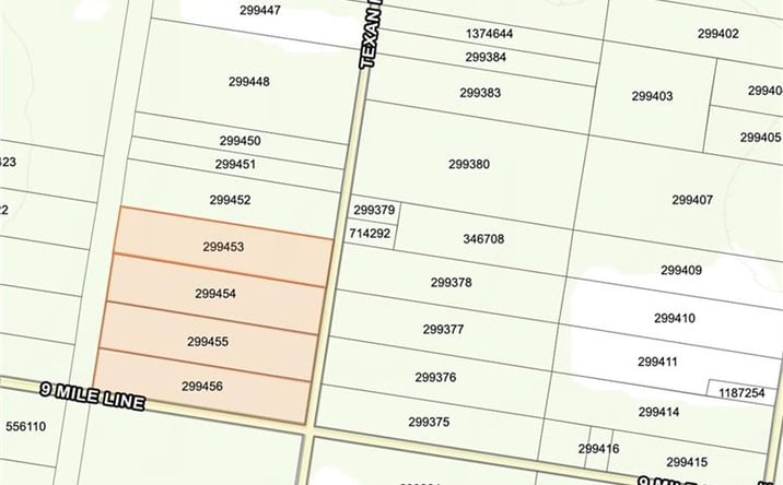 Pictures of Land property located at Texan Road, Mission, TX 78574 for sales - image #1