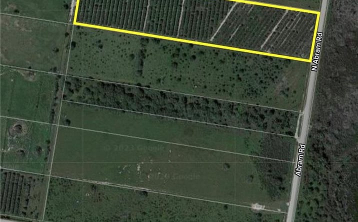 Pictures of Land property located at North Abram Road, Mission, TX 78574 for sales - image #1