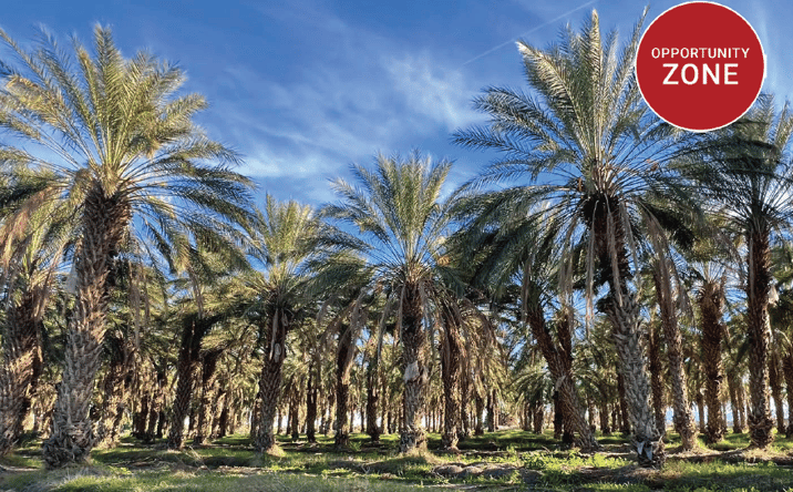 Pictures of Land property located at Pierce St & Ave 64, Thermal, CA 92274 for sales - image #1