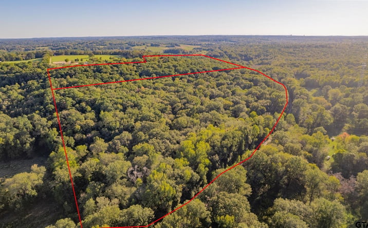 Pictures of Land property located at 00 US Hwy 271, Tyler, TX 75708 for sales - image #1