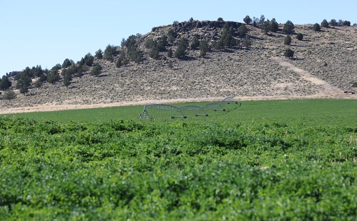 Pictures of Land property located at 29975 Sunset Valley Ln, Burns, OR 97720 for sales - image #1