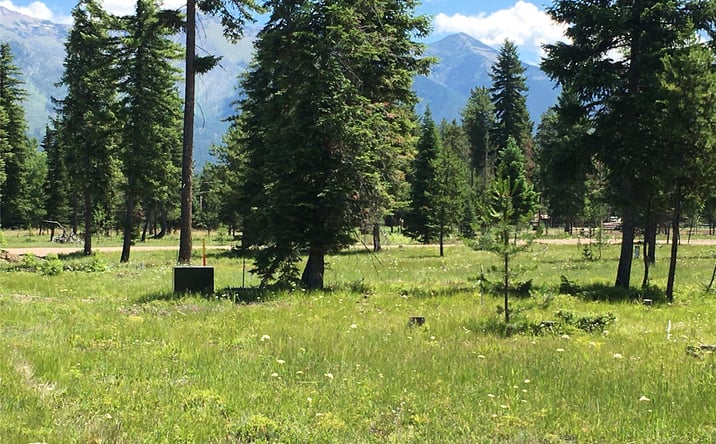 Pictures of Land property located at 181 Mission Vista Lane, Swan Valley, MT 59826 for sales - image #1