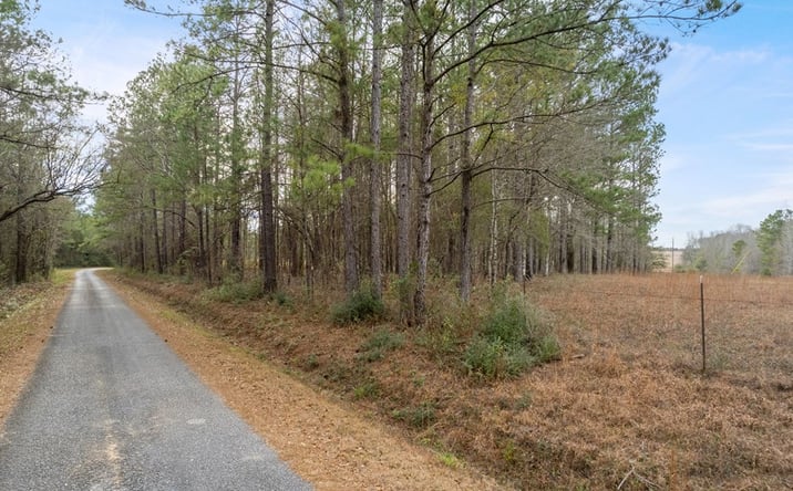 Pictures of Land property located at NHN Adolph Parker Rd., Poplarville, MS 39470 for sales - image #1