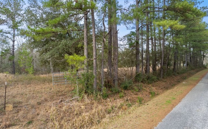 Pictures of Land property located at NHN Adolph Parker Rd., Poplarville, MS 39470 for sales - image #1