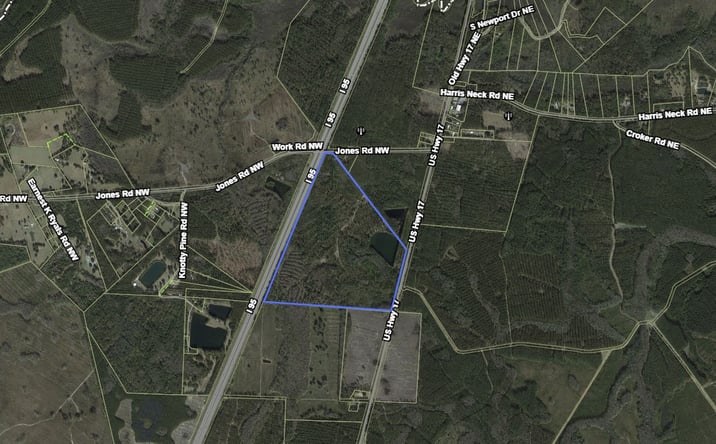 Pictures of Land property located at US-17, Townsend, GA 31331 for sales - image #1
