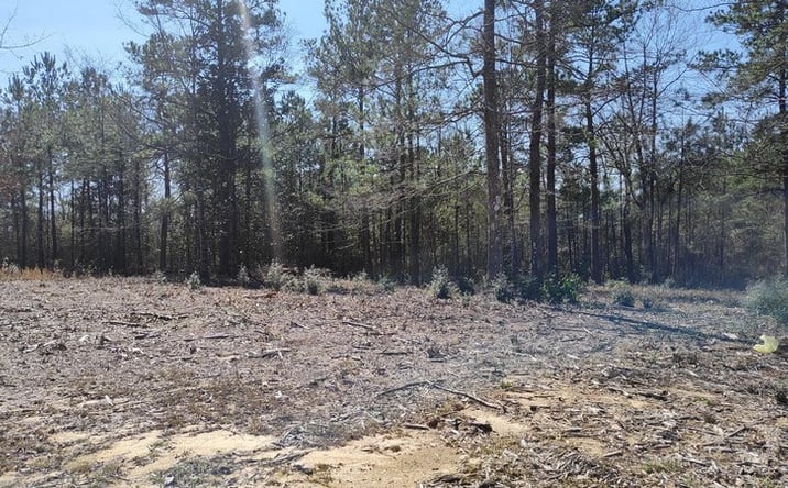 Pictures of Land property located at NHN Lot 30 Magenta Ln, Picayune, MS 39466 for sales - image #1